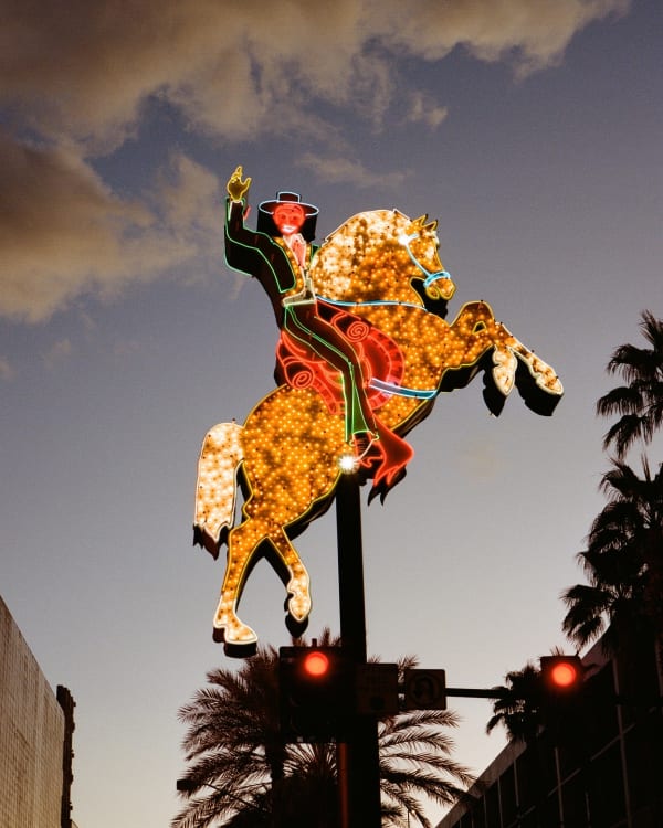 JANE HILTON, NEON COWBOY