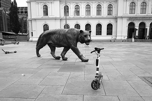 Roger Deakins, The Angry Lion, Oslo , 2022