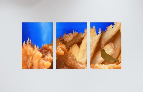 Drive Thru Territory