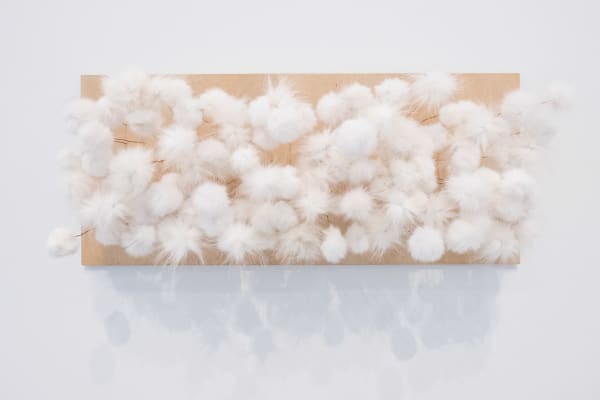 69°25'43.0"N 132°15'49.4"W