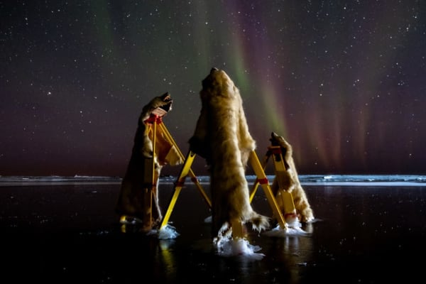 Aidainnaqduanni, Aurora