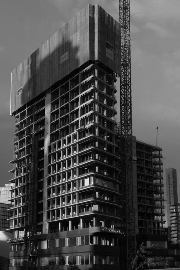 Dwayne Brown, New Build, 2022