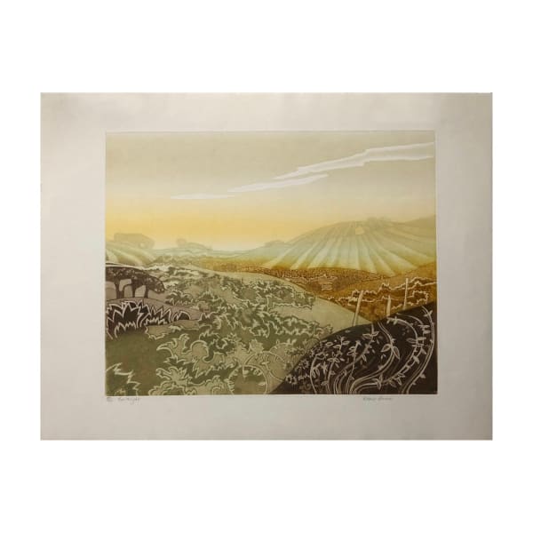 Robert Barnes, Earthlight