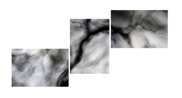 Rosie Reed Gold, Wood for the trees 1, 2014