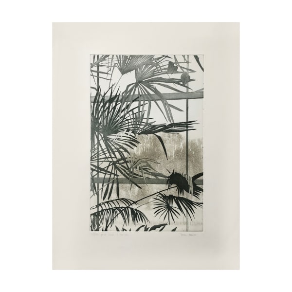 Tessa Beaver, Palm House in the Rain