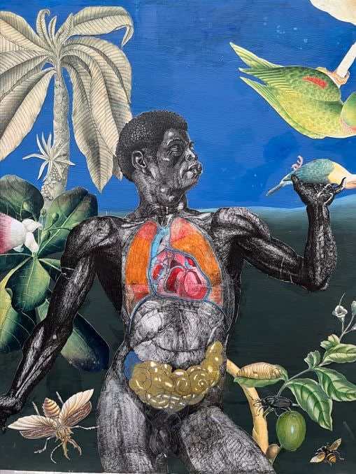 Jenny Gordon, The Dandy, 2019