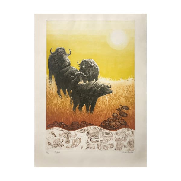 Hilda Bernstein, Buffalo