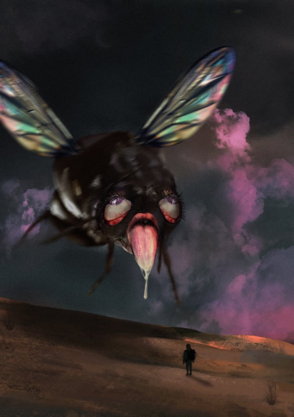 Shannon Lane, When the stars align, so will you and I, 2022