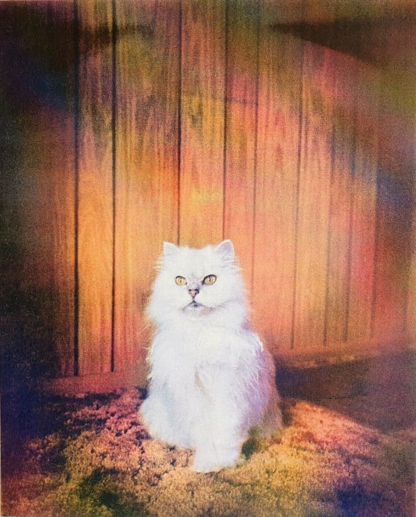 Todd Hido, The Perfect Copy Vol. 1, 2016