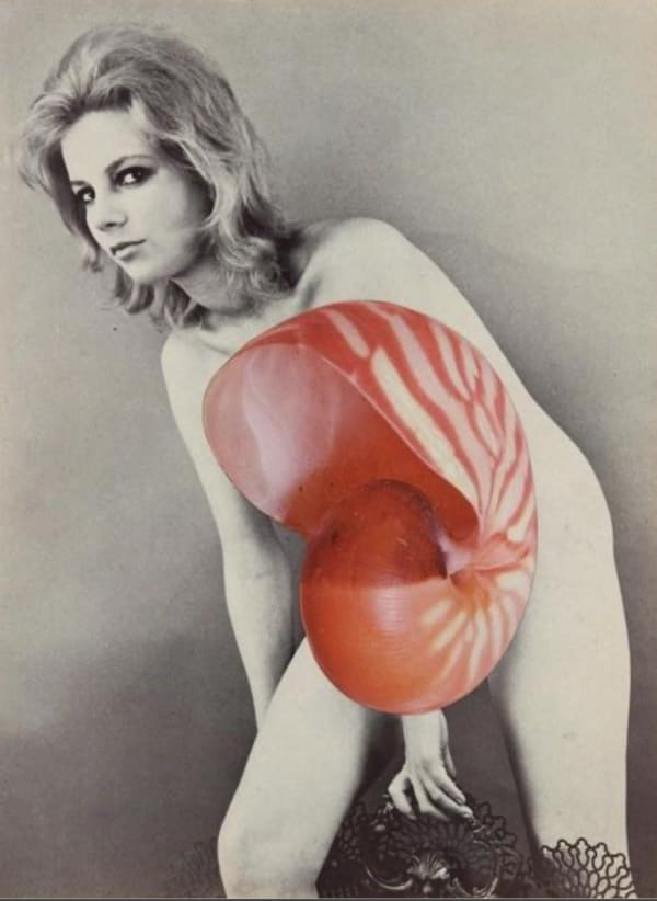 Linder Sterling, Portrait Obtained By Telepathy, 2018