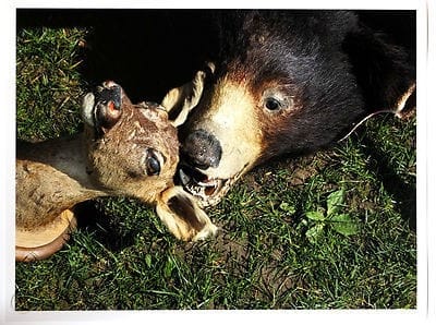 Cornelia Parker, Political Abstract (Doe & Bear), 2012
