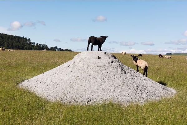 Martin Parr, Scotland, Great Britain (2017), 2020