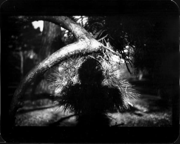 Giacomo Brunelli, Untitled (Shadow #08), 2011