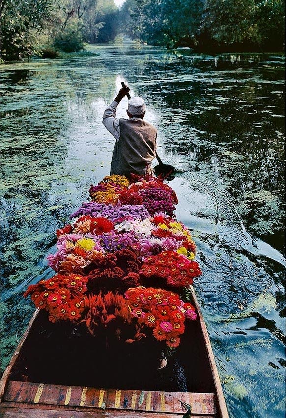 Steve McCurry Flower Seller. Dal Lake, Srinagar, Kashmir. 1996., 2021 Signed verso on an archival label Archival pigment print 15.2 x 15.2 cm 6 x 6 in Magnum special edition (Edition record)