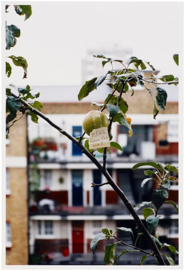 Wolfgang Tillmans, Please Leave This One, 2020