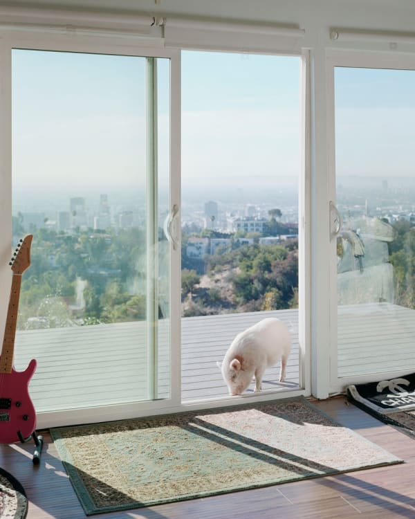 Alec Soth Banksy. Hollywood Hills, CA. 2017., 2021 Signed verso on an archival label Archival pigment print 15.2 x 15.2 cm 6 x 6 in Magnum special edition (Edition record)