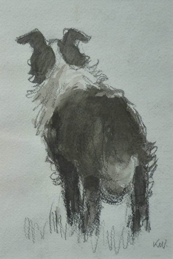 Kyffin Williams 1918 - 2006, Welsh Collie I, c.2000