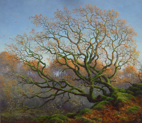 Gerald Dewsbury, Catching the Autumn Light, 2025