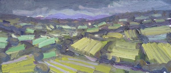 David Lloyd Griffith, July Fields - Dyffryn Dulas II