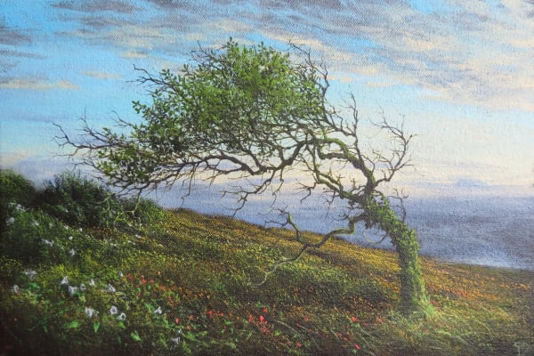 Gerald Dewsbury, Coastal Willow
