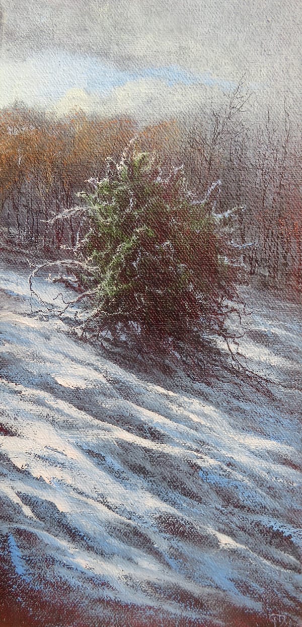 Gerald Dewsbury, Wintry Gorse