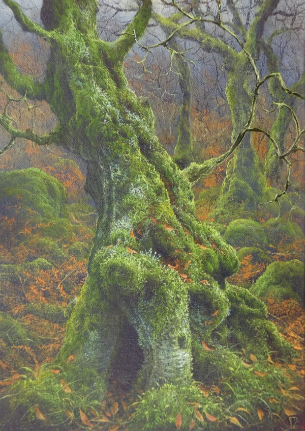Gerald Dewsbury, Birch Bole, 2025