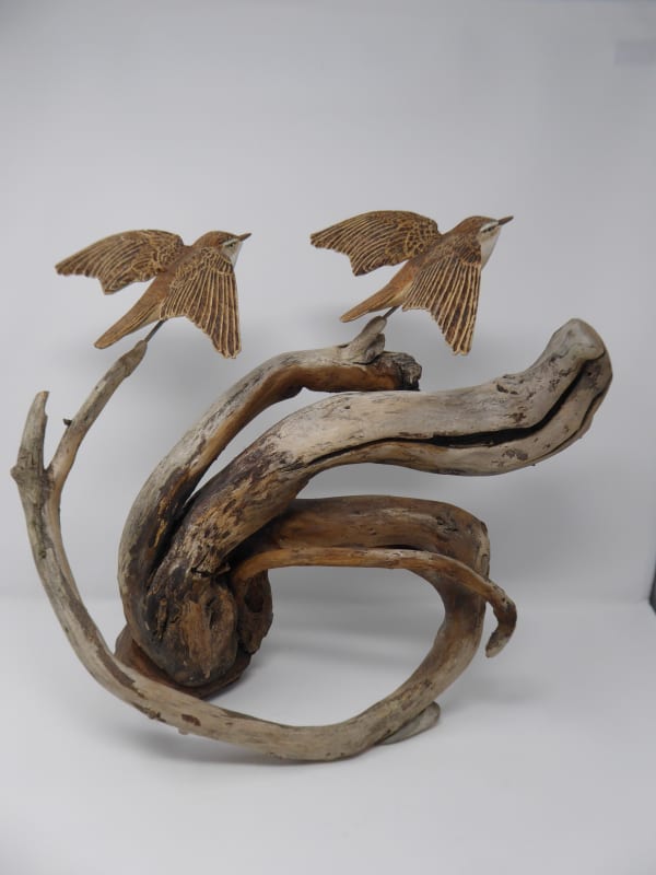 John & Marilyn Davies, Sedge Warblers II