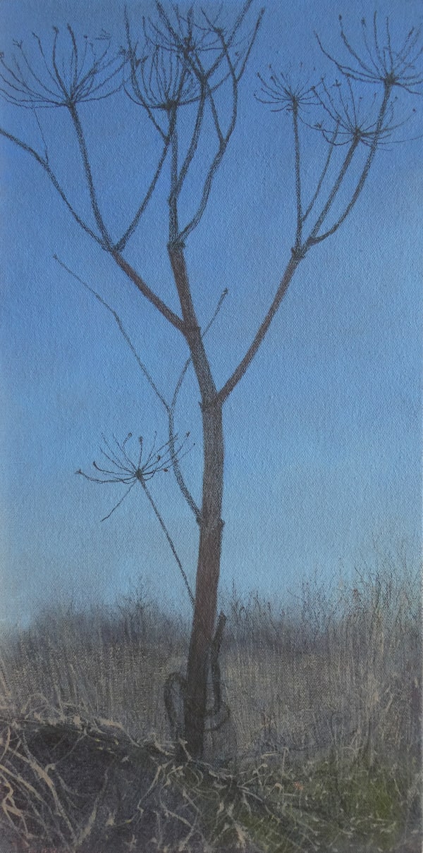 Kim Dewsbury, Remnants , 2025