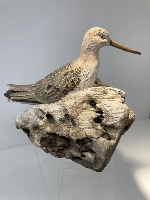 John & Marilyn Davies, Greenshank