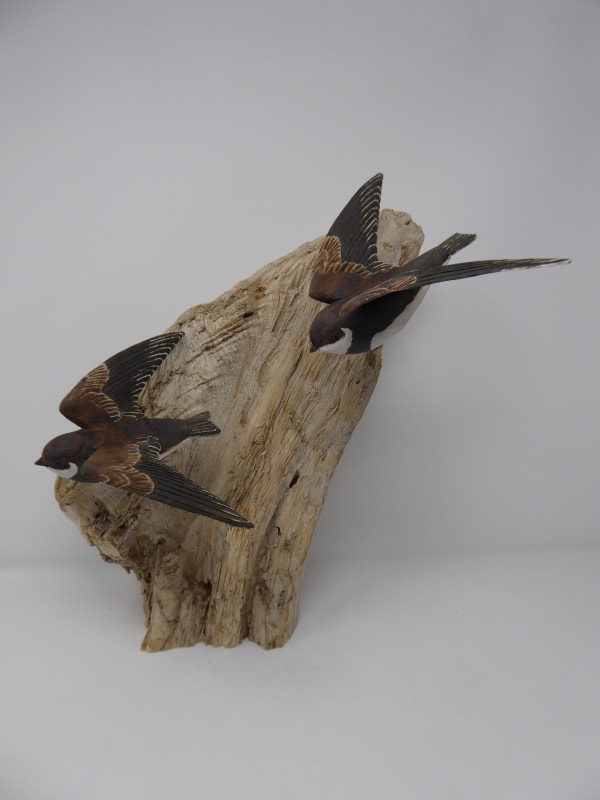 John & Marilyn Davies, Sand Martins