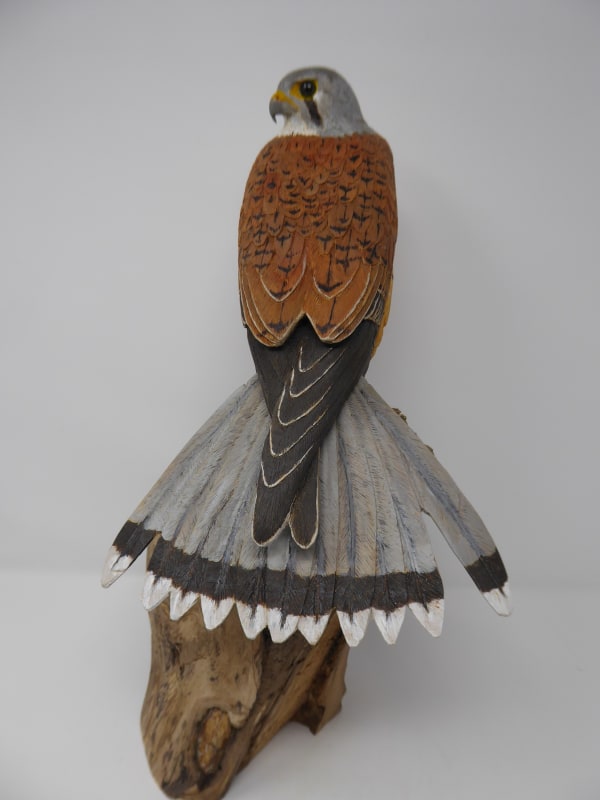 John & Marilyn Davies, Kestrel