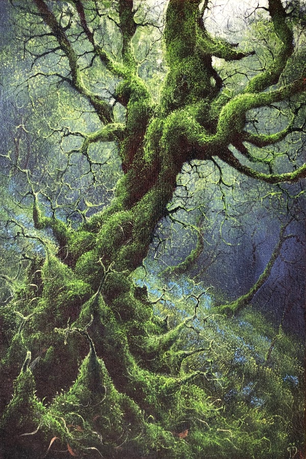 Gerald Dewsbury, Green Bearded Birch, 2024