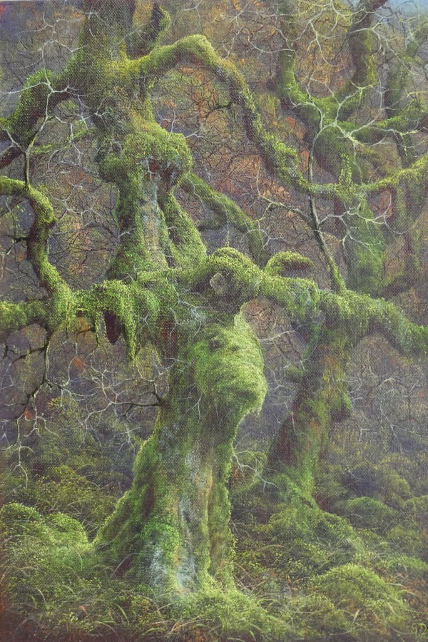 Gerald Dewsbury, Old Birch Bole, 2025