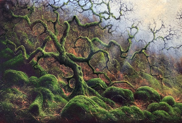 Gerald Dewsbury, Oak on the Edge, 2024