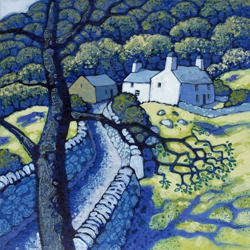 Chris Neale, Llanfihanel-y-Pennant