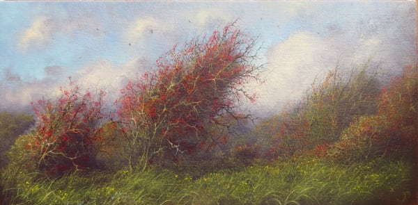 Gerald Dewsbury, Pembrokeshire Hawthorn