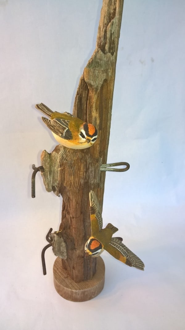 John & Marilyn Davies, Firecrests