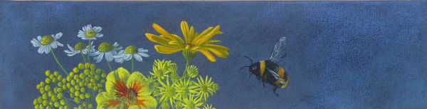 Kim Dewsbury, Garden Life in Yellow