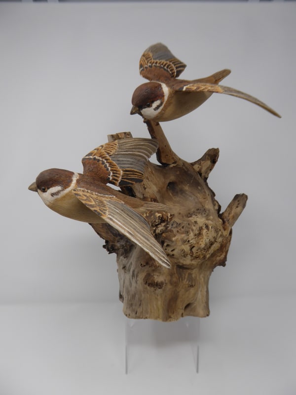 John & Marilyn Davies, Tree Sparrows