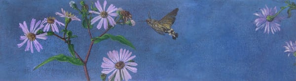 Kim Dewsbury, Garden Life with Asters