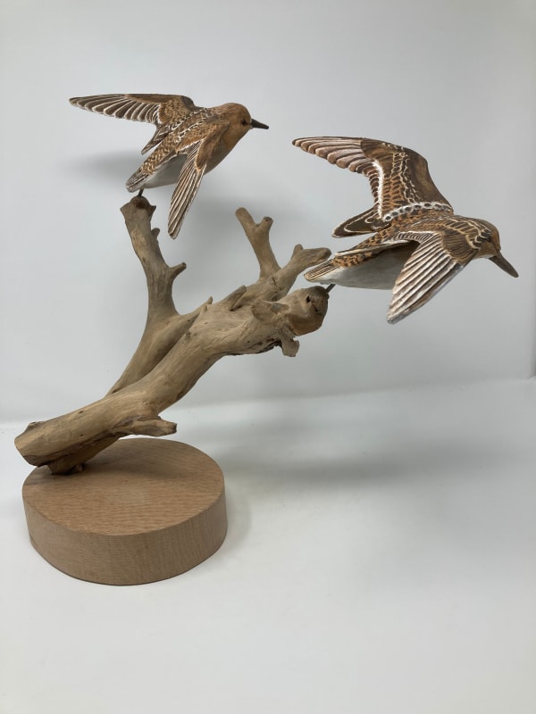 John & Marilyn Davies, Little Stints, 2025