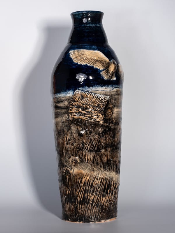 Helen Gittins, Barn Owl near Denbigh