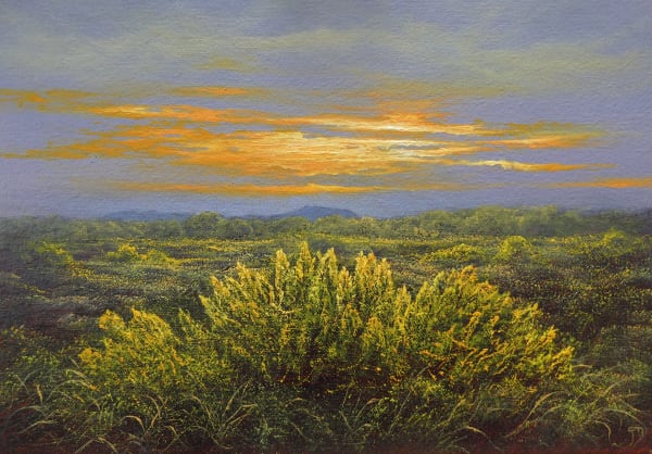 Gerald Dewsbury, Study in Yellow, 2025