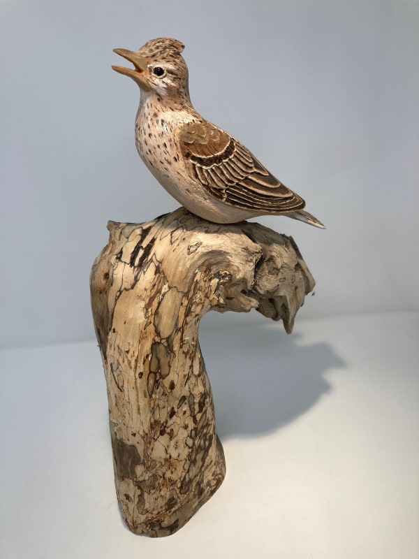 John & Marilyn Davies, Skylark