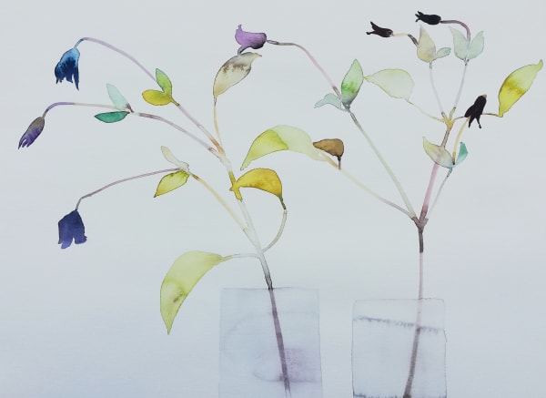 Susan Kane - Dance, 2024