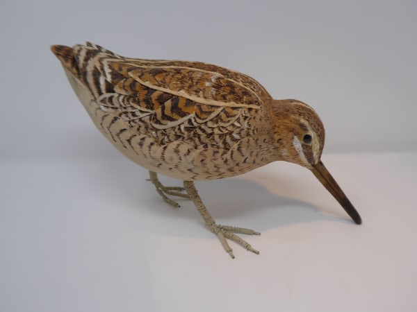 John & Marilyn Davies, Snipe