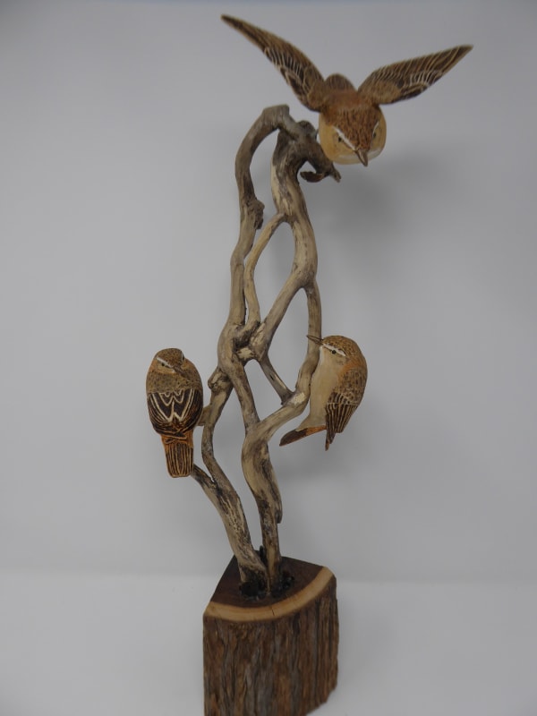 John & Marilyn Davies, Sedge Warblers III