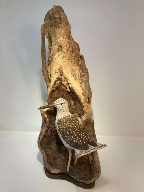 John & Marilyn Davies, Wood Sandpiper, 2024