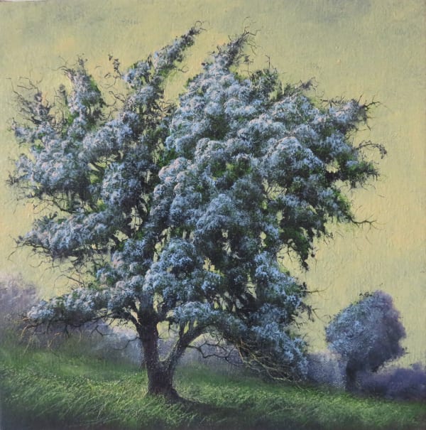 Gerald Dewsbury, Yellow May