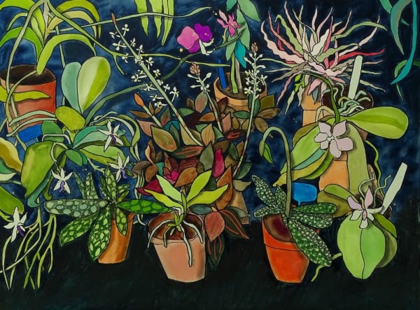 Susan Gathercole, Treborth Orchid House